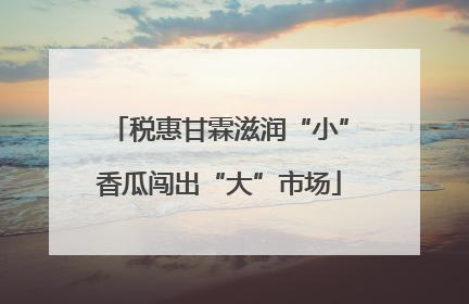 税惠甘霖滋润“小”香瓜闯出“大”市场