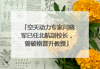 空天动力专家闫晓军已任北航副校长，曾破格晋升教授