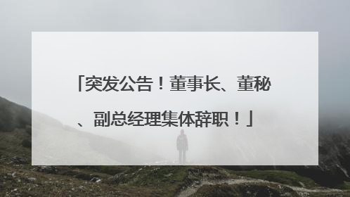 突发公告！董事长、董秘、副总经理集体辞职！