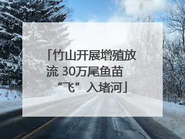 竹山开展增殖放流 30万尾鱼苗“飞”入堵河