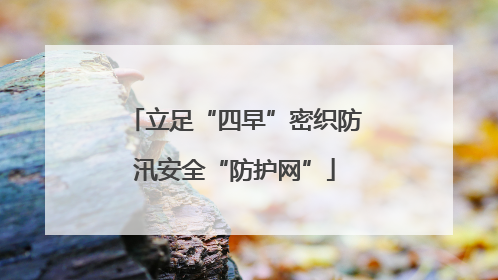 立足“四早”密织防汛安全“防护网”