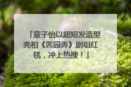 章子怡以超短发造型亮相《酱园弄》剧组红毯，冲上热搜！