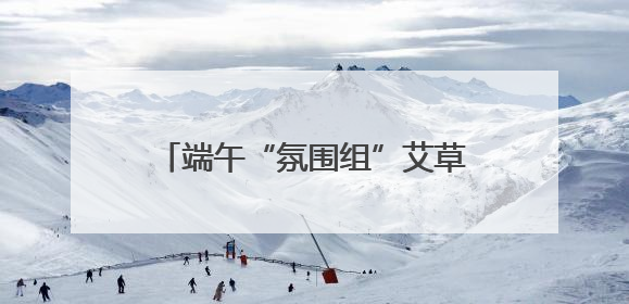 端午“氛围组”艾草花束火爆，长沙有花店卖到98元一束