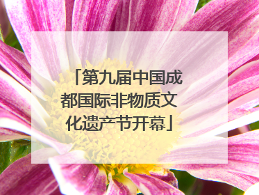 第九届中国成都国际非物质文化遗产节开幕