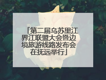 第二届乌苏里江界江联盟大会暨边境旅游线路发布会在抚远举行