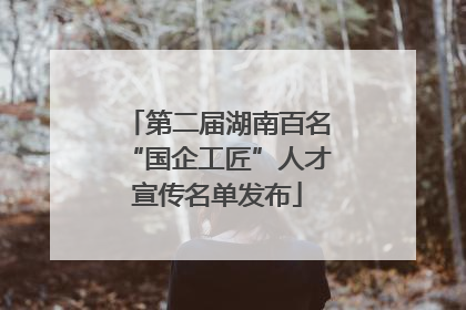 第二届湖南百名“国企工匠”人才宣传名单发布