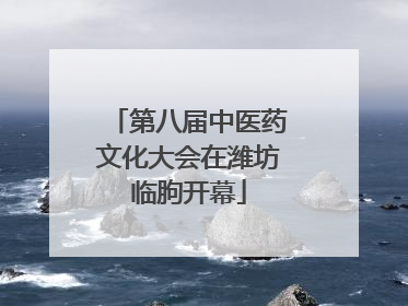 第八届中医药文化大会在潍坊临朐开幕