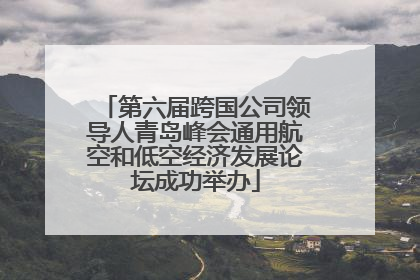 第六届跨国公司领导人青岛峰会通用航空和低空经济发展论坛成功举办
