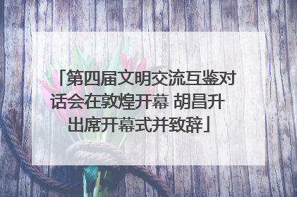 第四届文明交流互鉴对话会在敦煌开幕 胡昌升出席开幕式并致辞