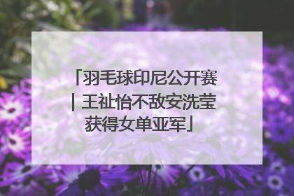 羽毛球印尼公开赛｜王祉怡不敌安洗莹 获得女单亚军