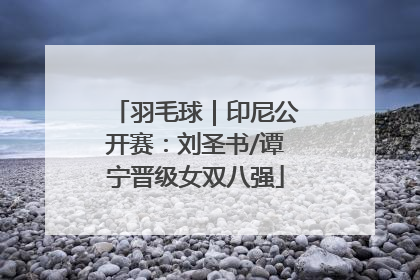 羽毛球｜印尼公开赛：刘圣书/谭宁晋级女双八强