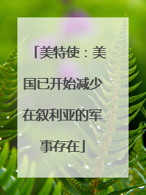 美特使：美国已开始减少在叙利亚的军事存在