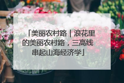 美丽农村路｜浪花里的美丽农村路，三高线串起山海经济学