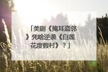 美剧《掩耳盗邻》凭啥逆袭《白莲花度假村》？