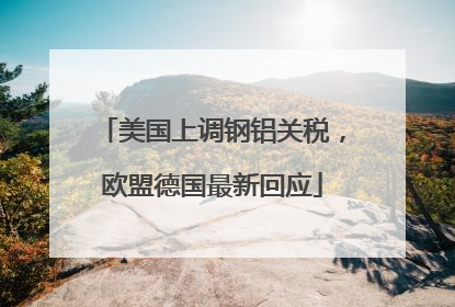 美国上调钢铝关税，欧盟德国最新回应