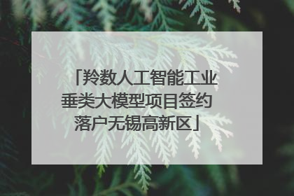 羚数人工智能工业垂类大模型项目签约落户无锡高新区