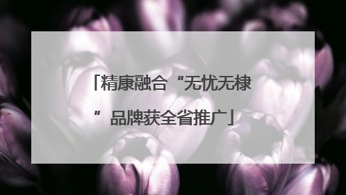 精康融合“无忧无棣”品牌获全省推广