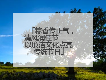 粽香传正气，清风润佳节——以廉洁文化点亮传统节日