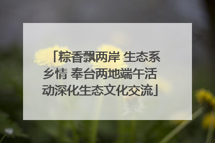 粽香飘两岸 生态系乡情 奉台两地端午活动深化生态文化交流