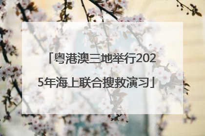 粤港澳三地举行2025年海上联合搜救演习
