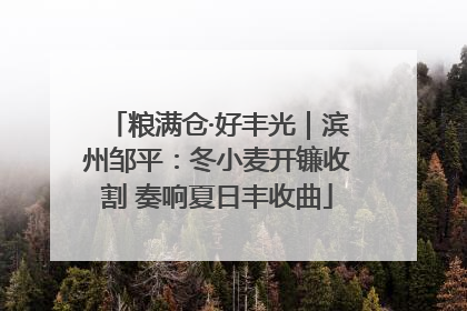 粮满仓·好丰光｜滨州邹平：冬小麦开镰收割 奏响夏日丰收曲