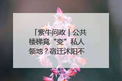 紫牛问政｜公共楼梯竟“变”私人领地？宿迁沭阳不动产登记引质疑