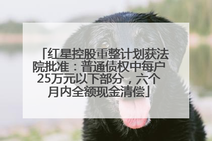 红星控股重整计划获法院批准：普通债权中每户25万元以下部分，六个月内全额现金清偿