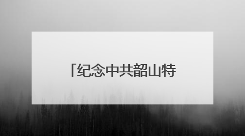 纪念中共韶山特别支部成立100周年《堡垒》电影党课开课