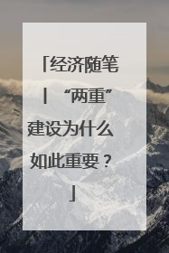 经济随笔丨“两重”建设为什么如此重要？