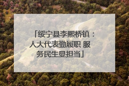 绥宁县李熙桥镇：人大代表勤履职 服务民生显担当