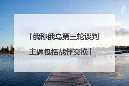 俄称俄乌第三轮谈判主题包括战俘交换