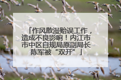 作风散漫贻误工作，造成不良影响！内江市市中区自规局原副局长陈军被“双开”