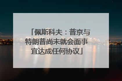 佩斯科夫：普京与特朗普尚未就会面事宜达成任何协议