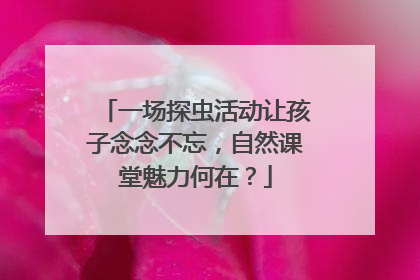 一场探虫活动让孩子念念不忘，自然课堂魅力何在？