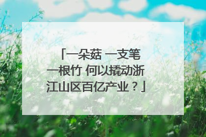 一朵菇 一支笔 一根竹 何以撬动浙江山区百亿产业？
