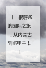 一根薯条的国际之旅，从内蒙古到斯里兰卡