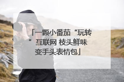 一颗小番茄“玩转”互联网 枝头鲜味变手头表情包