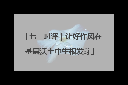 七一时评｜让好作风在基层沃土中生根发芽
