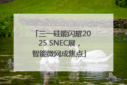 三一硅能闪耀2025 SNEC展，智能微网成焦点