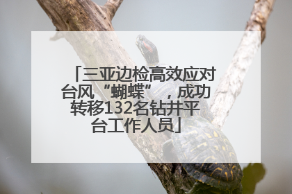 三亚边检高效应对台风“蝴蝶”，成功转移132名钻井平台工作人员