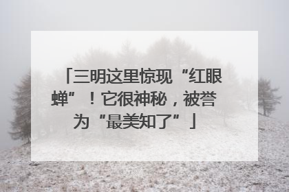 三明这里惊现“红眼蝉”！它很神秘，被誉为“最美知了”