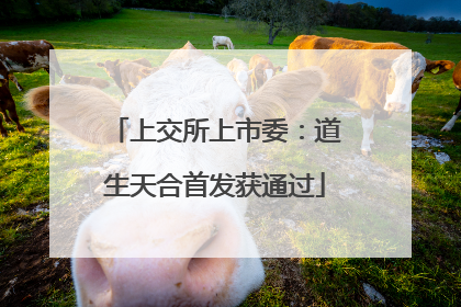 上交所上市委：道生天合首发获通过