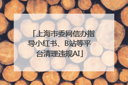 上海市委网信办指导小红书、B站等平台清理违规AI