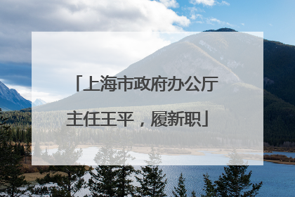 上海市政府办公厅主任王平，履新职