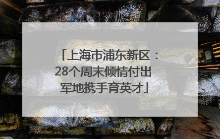 上海市浦东新区：28个周末倾情付出 军地携手育英才