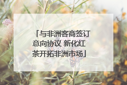 与非洲客商签订意向协议 新化红茶开拓非洲市场
