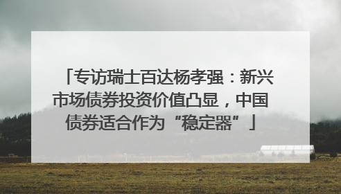 专访瑞士百达杨孝强：新兴市场债券投资价值凸显，中国债券适合作为“稳定器”