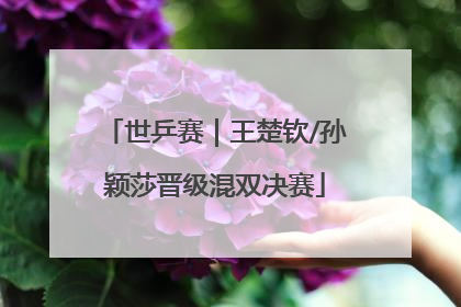 世乒赛｜王楚钦/孙颖莎晋级混双决赛