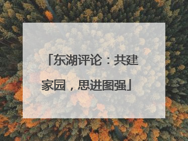 东湖评论：共建家园，思进图强