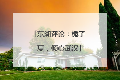 东湖评论：栀子一夏，倾心武汉
